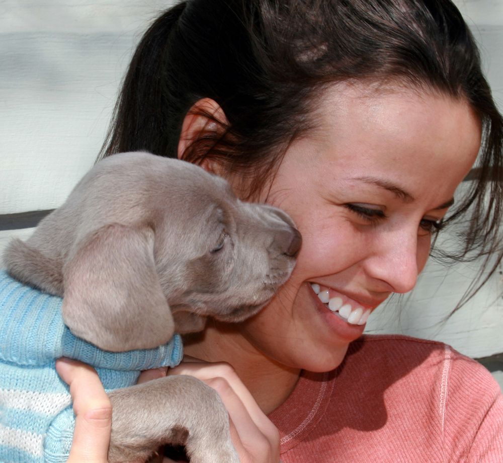 Question of the Week